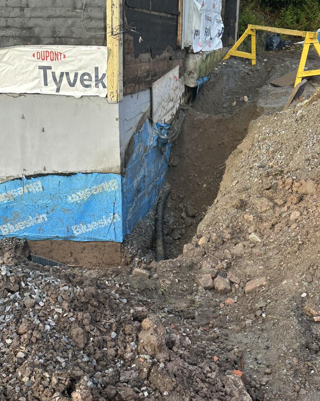 Professional commercial buildout with modern office design and finishes